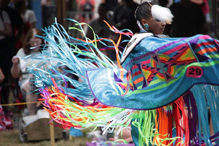 Fancy Shawl Dancer