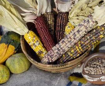 Native American Food